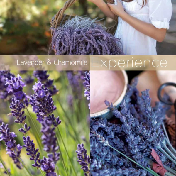 CUCCIO Cuticle Oil 240 ml / 8 oz mI Lavender & Cha