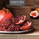 CUCCio Cuticle Oil 240 ml / 8 oz Pomegranate & Fig