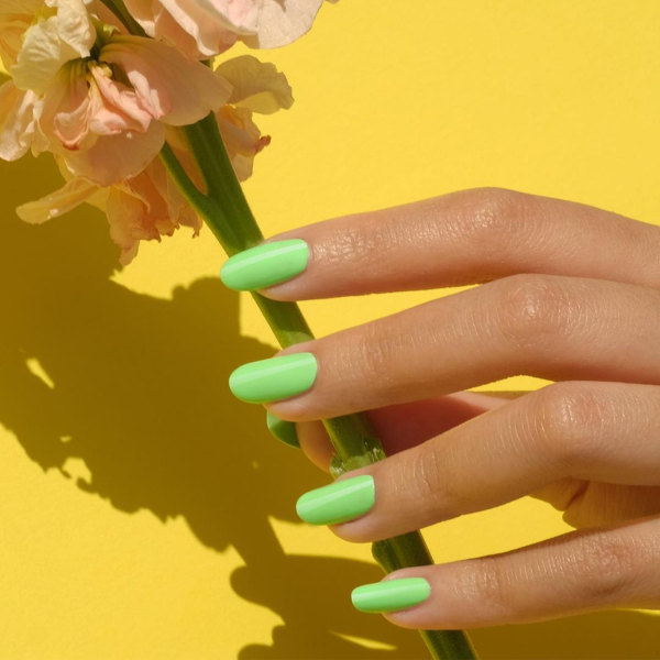 DND DC Gel & Lacquer Duo Green Forest AK #568