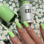 DND DC Gel & Lacquer Duo Green Forest AK #568