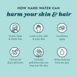 VOESH Lavender Land . Relax & Calm. Shower & Empower Vitamin C Shower Filter For Scalp & Body. 